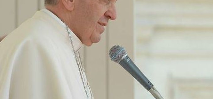Iha katekeze, Papa destaka unidade iha Kreda: “mundu presiza uniaun”